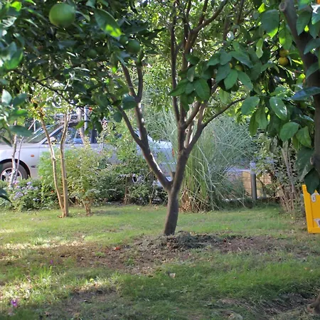 Appartamento Family Friendly Seaside Kozino - Zadar - 5749 *