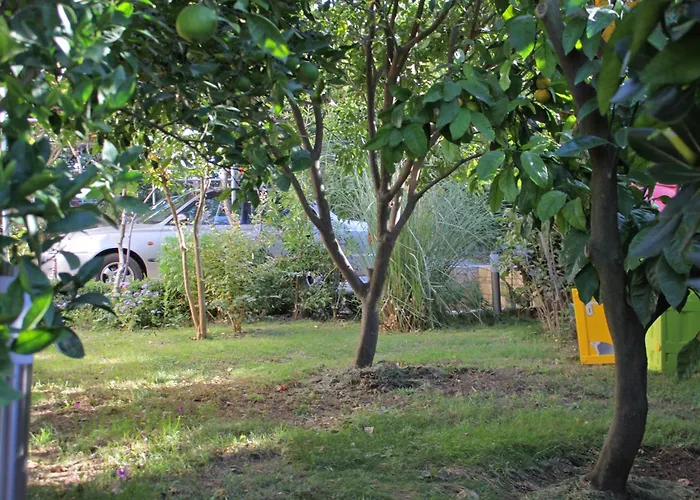 Appartamento Family Friendly Seaside Kozino - Zadar - 5749 *
